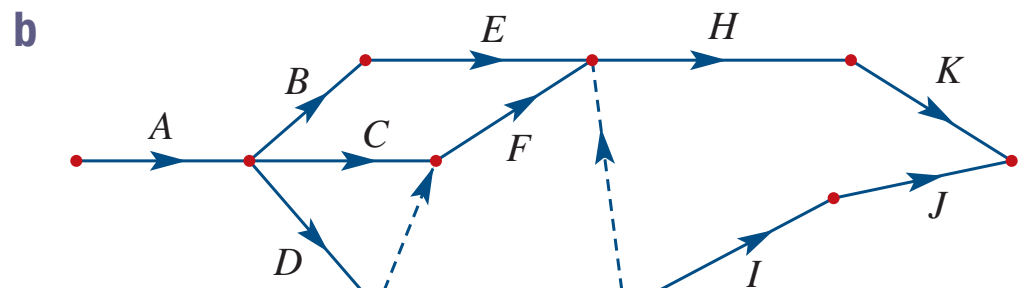 Visualization of idea expansion and combination through brainstorming flowcharts.