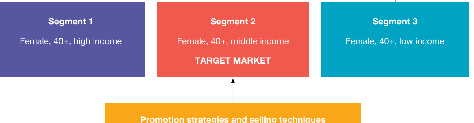 A diagram showing a market divided into distinct consumer groups based on shared characteristics.