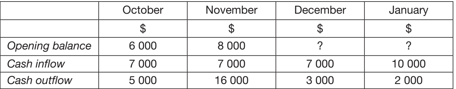 Cash Flow Forecasting Model